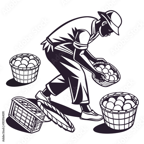Man sorting eggs into baskets black and white