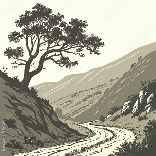 Tree on hill beside winding dirt road in mountain valley