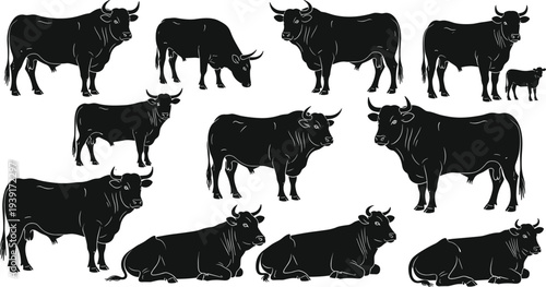Cow silhouettes collection with different poses including standing grazing and resting farm livestock vector illustration set