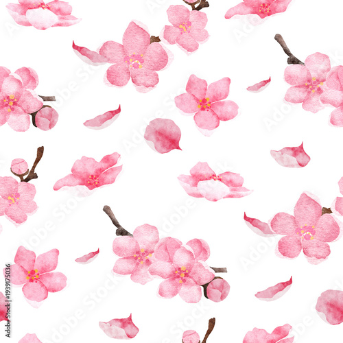 watercolor pink cherry blossom pattern