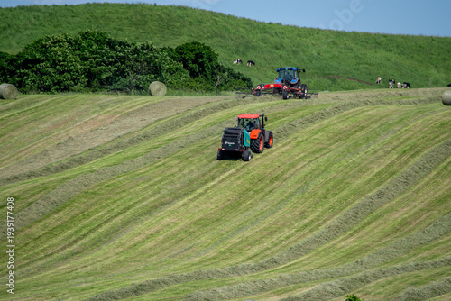 Quadro em tela Hay harvest on rolling hills with tractors in summer, Shibecha, Hokkaido, Japan