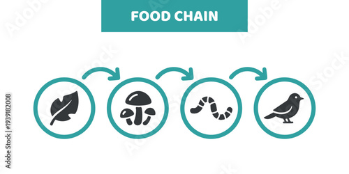 Vector food chain design on white background