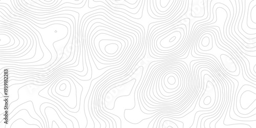 Abstract geographic contour line seamless pattern geometric terrain grid map technology modern white background