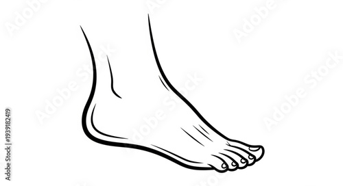 Detailed black and white illustration of a human foot, showing toes and ankle.