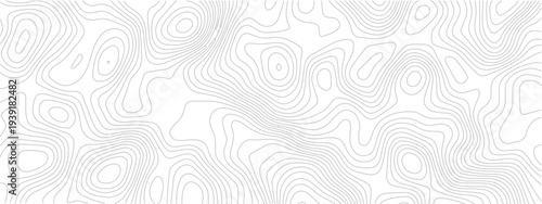 Abstract topographic contour grid seamless pattern geometric landscape line map discovery technology white background
