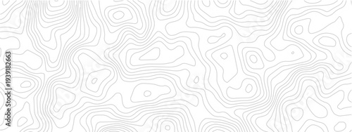 Modern topographic map line seamless pattern abstract geometric contour grid landscape technology white background