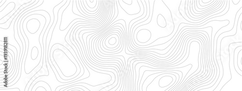 Abstract topography line seamless pattern with geometric contour grid map modern technology background white design