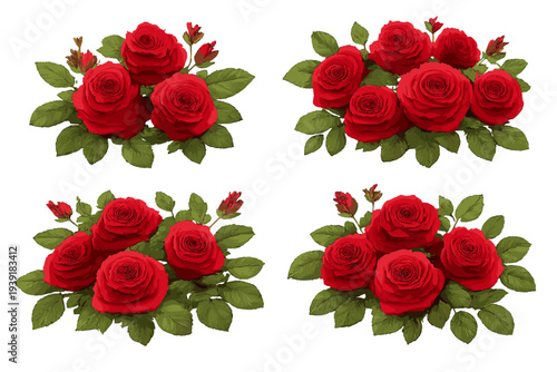 Different arrangements of red roses on white background with green