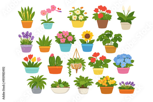 Colorful assortment of plants in pots arranged on a white background
