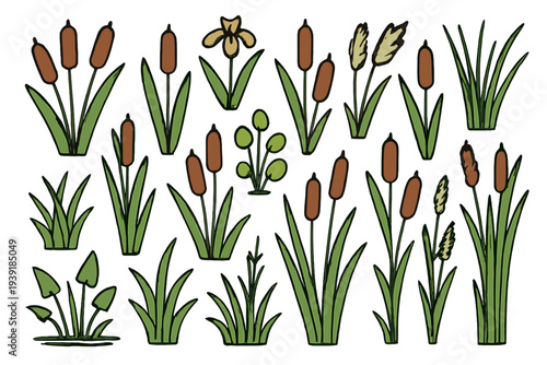 Plant life with various types of grass reeds and flowers in a simple