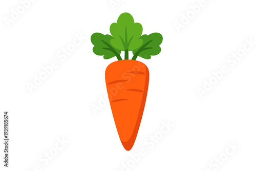 Carrot with green leaves shown in a simple design