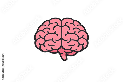 Drawing of a brain with details showing folds and curves in a simple