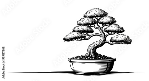 Elegant Bonsai Tree in a Decorative Pot - A Detailed Illustration.