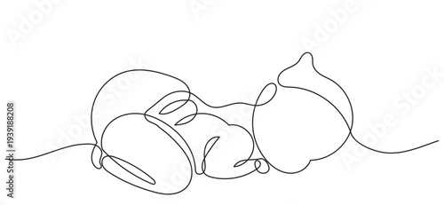 continuous line drawing of a cute sleeping newborn baby. Modern minimalist line art design isolated on a white background, representing innocence, motherhood, childcare, and early life.