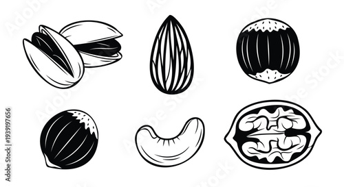 Assortment of Nuts Silhouette Icons on White Background