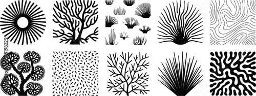 Abstract nature shapes and organic pattern silhouettes set, tree branches grass sunburst and decorative textures collection, botanical design elements vector illustration