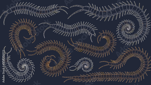 Centipede Cluster: Creeping Crawlies in Line Art - Dark Academia Style Illustration for Nature Enthusiasts, Science Buffs, and Goth-Inspired Designs, Perfect for Textile Prints and Dark Designs