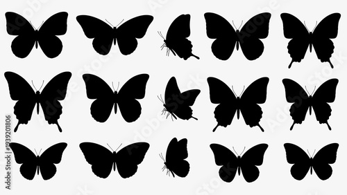 Elegant Butterfly Silhouette Assortment for Nature-Inspired Designs: A Collection of Black Butterfly Outlines for Art, Crafts, and Symbolic Representations in Graphic Projects and Creative Endeavors