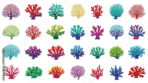 Vibrant Coral Reef Diversity Illustration: A Colorful Collection of Sea Life for Educational and Design Projects Featuring Marine Ecosystems and Ocean Biodiversity, Perfect for Conservation Awareness