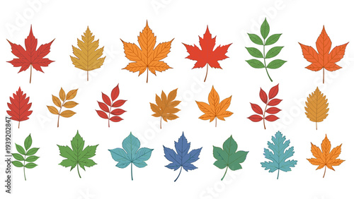 Autumn Leaves Vector Assortment for Seasonal Designs: A Collection of Colorful Botanical Elements for Fall-Themed Projects and Creative Compositions with Nature-Inspired Illustrations