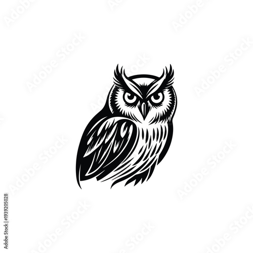 owl on white background