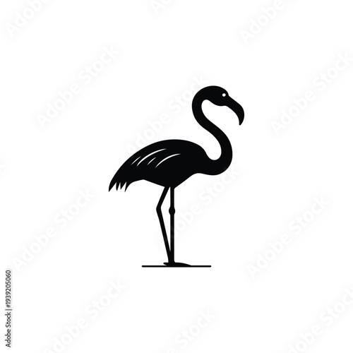 flamingo silhouette isolated on white