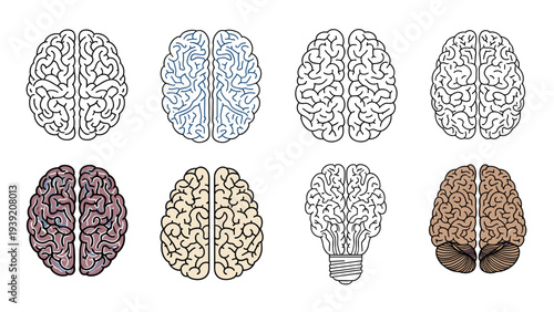 Eight Brain Illustrations: Exploring Concepts of Intelligence, Neurology, and Creative Ideas, Representing the Human Mind, Knowledge, and Cognitive Function, in Detailed and Artistic Designs