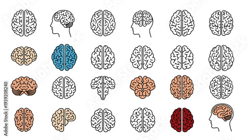 Mental Health and Intelligence Brain Concepts: A Diverse Collection of Human Brain Illustrations in Various Styles and Colors, Perfect for Psychology, Education, and Creative Thinking