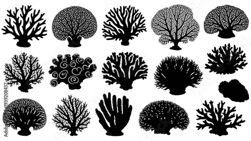 Black and White Coral Reef Silhouettes: A Versatile Vector Set for Marine Biology, Ocean Conservation, and Creative Underwater Designs, Ideal for Prints and Web Graphics