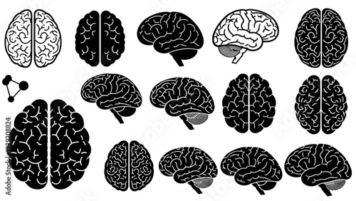 Brain Anatomy Illustrations: Scientific Medical Graphics for Cognitive Function, Neuroscience, Learning, and Healthcare Designs - Black and White Silhouette Vector Set