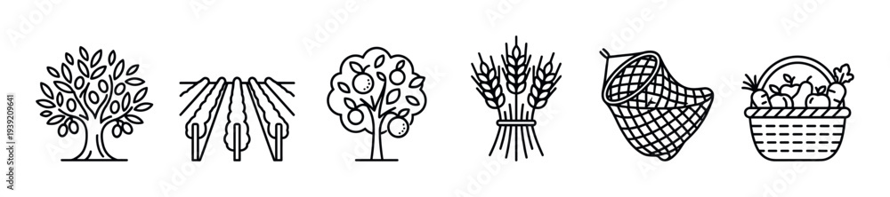 Fototapeta premium Set of black line art farming icons showing an olive tree, vineyard, fruit tree, wheat, cornucopia, and a basket of produce, representing agriculture and the harvest season