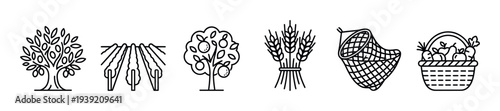 Set of black line art farming icons showing an olive tree, vineyard, fruit tree, wheat, cornucopia, and a basket of produce, representing agriculture and the harvest season