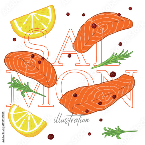 Hand drawn Salmon and herbs  vector illustration