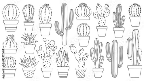 Monochrome Cacti Collection: Diverse Potted Succulents in Minimalist Line Art Style, Ideal for Botanical Designs, Educational Illustrations, and Elegant Home Decor Projects