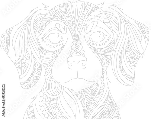 Dog face line art illustration