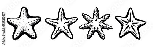Four black and white hand-drawn starfish illustrations with various textures and shapes in a graphic ink brush style, showcasing a collection of unique sea star designs