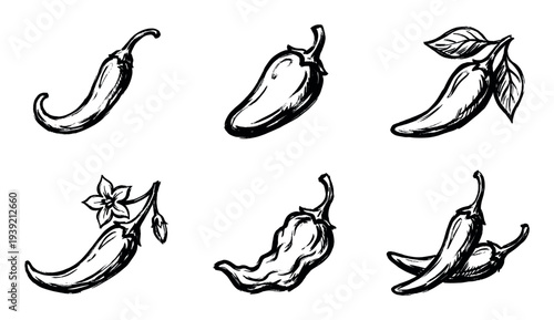 Hand-drawn chili pepper illustrations set in a black ink sketch style, showcasing various hot peppers like cayenne and jalapeño with leaves and flowers for a spicy food concept