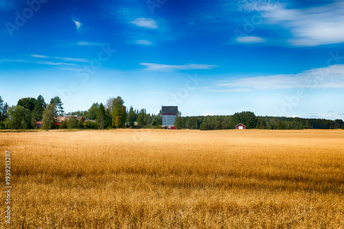 Beautiful summer countryside scenery in Loimaa, Finland. HDR.