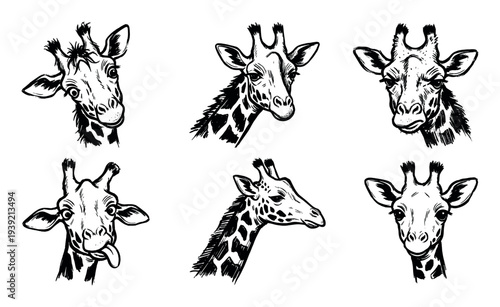 Collection of six black ink giraffe portraits with different funny, cute, and curious expressions, hand-drawn in a graphic sketch style with expressive linework