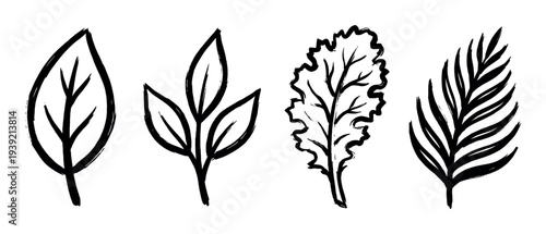 Set of four hand-drawn leaves in a black ink brushstroke style, featuring various plant shapes like a simple leaf, a sprig, kale, and a fern frond illustration
