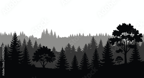 Layered forest scene with dark trees against a hazy background silhouette