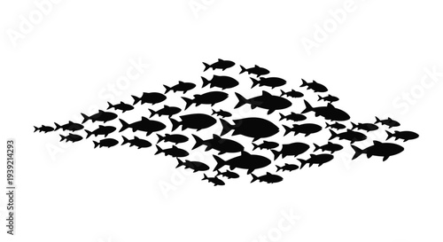 School of fish forms a larger fish shape in black silhouette