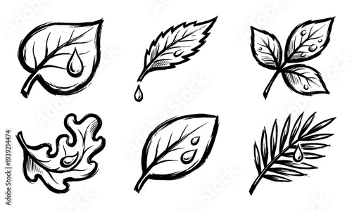 Collection of six hand-drawn leaf icons with water drops, rendered in a black ink brush stroke style, depicting various plant shapes for nature and ecology concepts