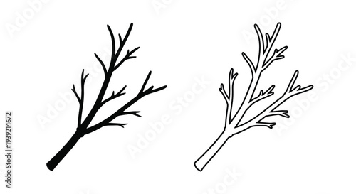 Simple black and white twig illustrations depict natural branch forms silhouette
