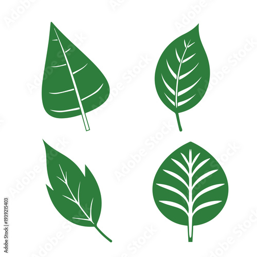 Set of green leaf icons. Leaves of trees and plants. Leaves icon. Collection green leaf. Elements design for natural, eco, bio, vegan labels. Vector