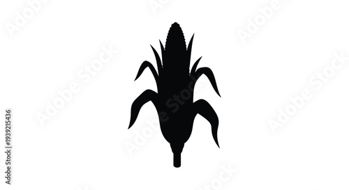 Silhouette of a corn cob with husk isolated on a white background