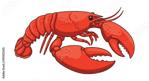 A vibrant cartoon illustration of a bright red lobster with large claws