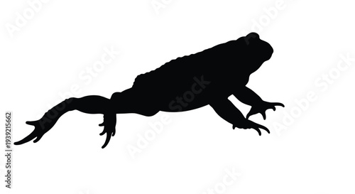 Silhouette of a leaping frog against a plain white background