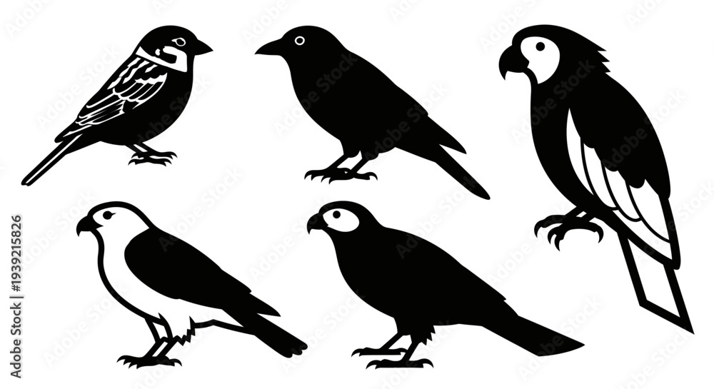 Fototapeta premium Diverse Bird Silhouettes Collection Vector Icons Set