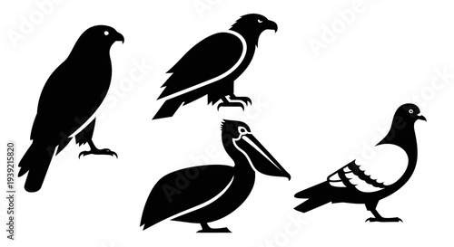 Diverse Bird Silhouettes Collection: Eagle, Pelican, and Pigeon Vector Icons